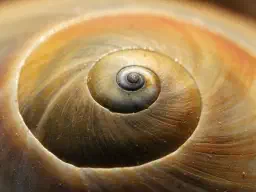Shell Sort in Python