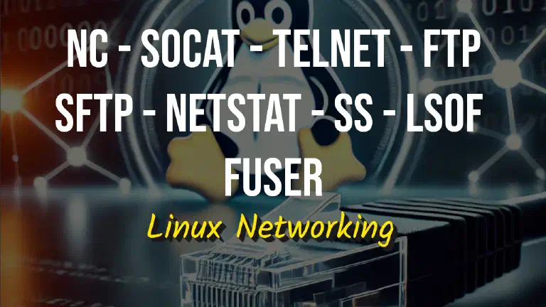 Comandi di Rete in Linux: nc, socat, telnet, ftp, sftp, netstat, ss, lsof, fuser